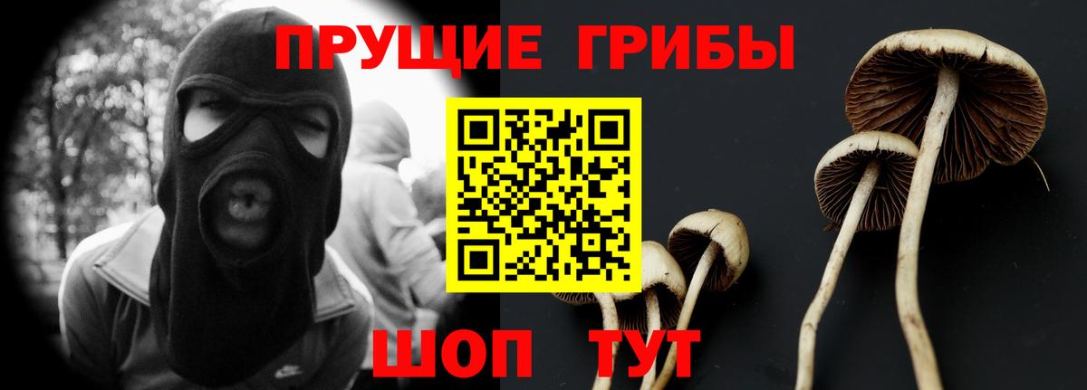 Псилоцибиновые грибы прущие грибы Кыштым