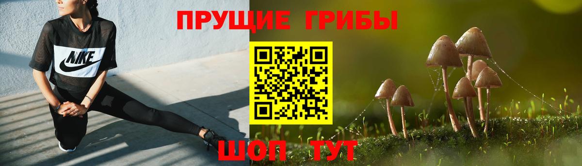 Кыштым  Псилоцибиновые грибы GOLDEN TEACHER  Галлюциногенные грибы Psilocybe  Вход с VPN 